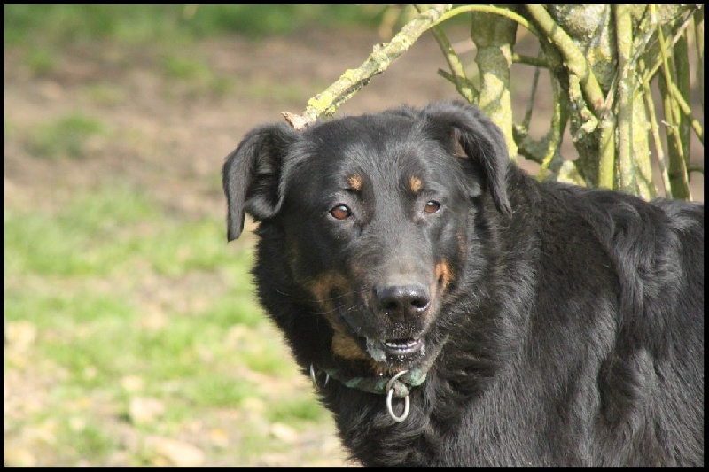 Publication : du Royaume D'Elsa Auteur : Agnès du ROYAUME D'ELSA