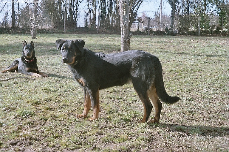 Publication : du Royaume D'Elsa Auteur : Agnès du ROYAUME D'ELSA