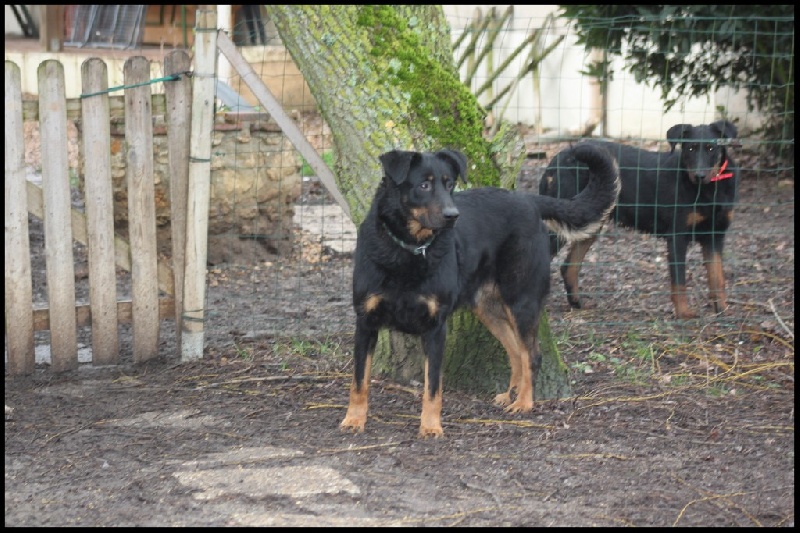 Publication : du Royaume D'Elsa Auteur : Agnès du ROYAUME D'ELSA
