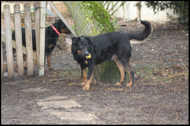 Publication : du Royaume D'Elsa Auteur : Agnès du ROYAUME D'ELSA