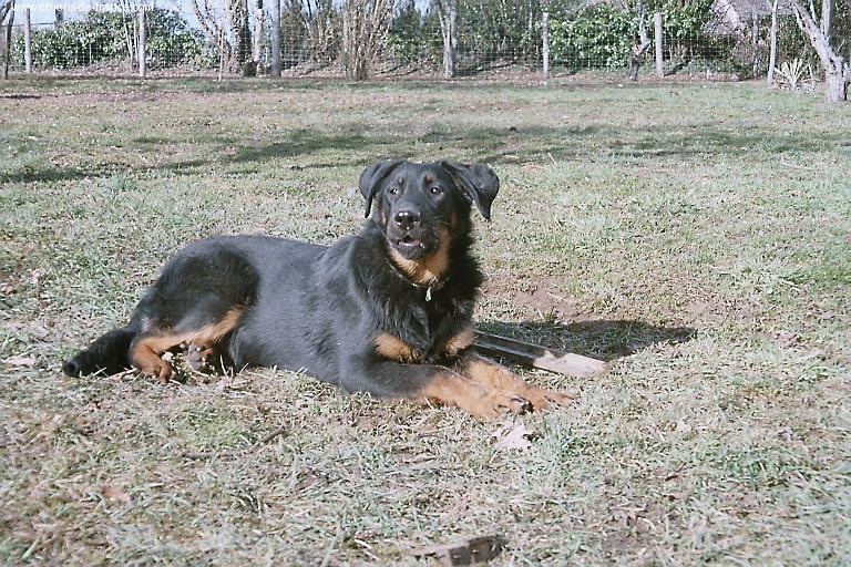 Publication : du Royaume D'Elsa Auteur : Agnès du ROYAUME D'ELSA