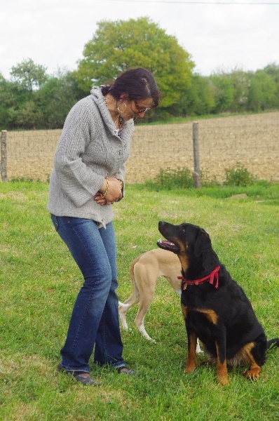 Eternelle madame du Royaume D'Elsa - 5eme classe jeune confirmée excellent