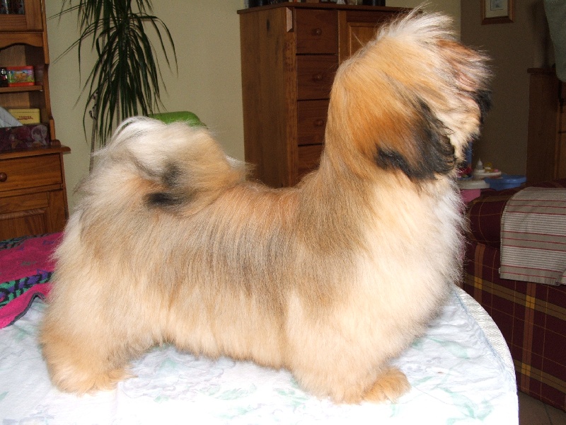 Publication : Very Versace's Auteur : sandrine Marc