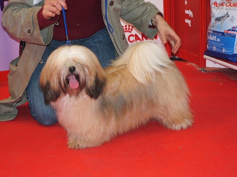 Publication : Very Versace's Auteur : sandrine Marc