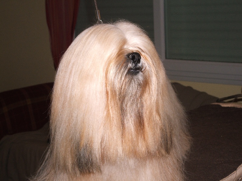 Publication : Very Versace's Auteur : sandrine Marc