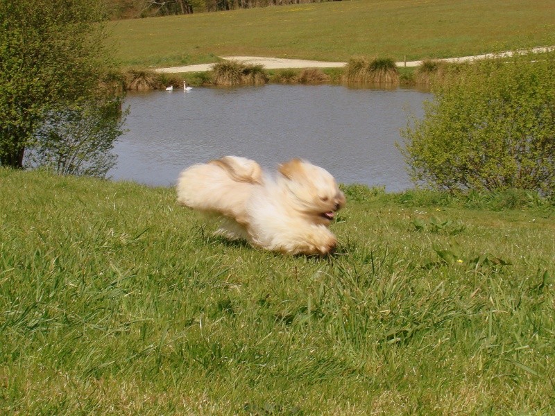 Publication : Very Versace's Auteur : sandrine Marc