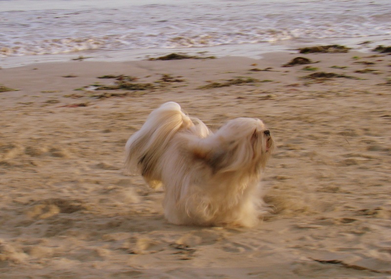 Publication : Very Versace's Auteur : sandrine Marc