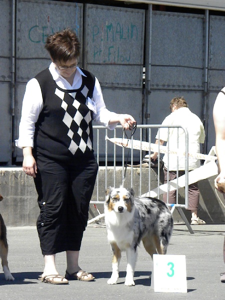 Dinka de L'Igloo des Sables - 3eme exc classe jeune