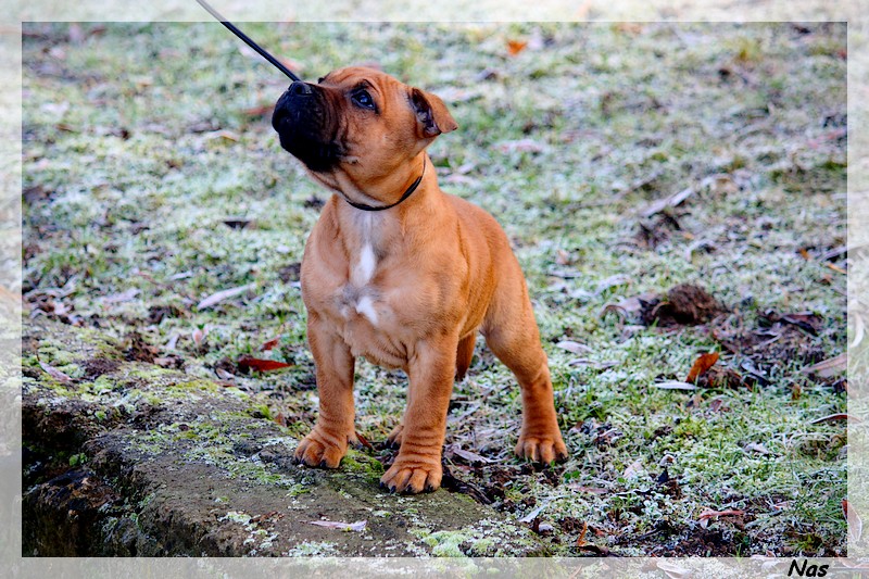 Publication : Evansstaff