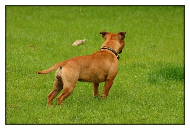 Publication : Evansstaff