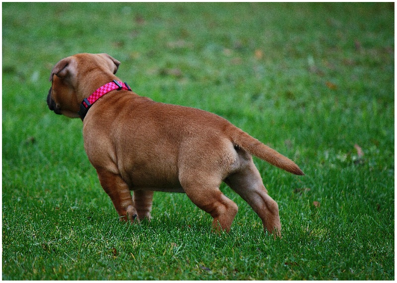 Publication : Evansstaff