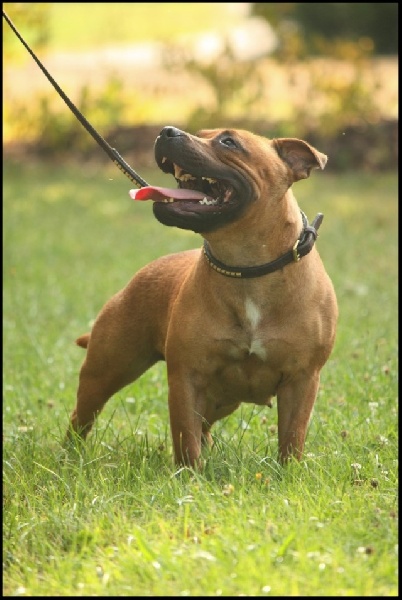 Publication : Evansstaff