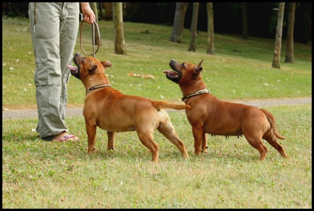 Publication : Evansstaff