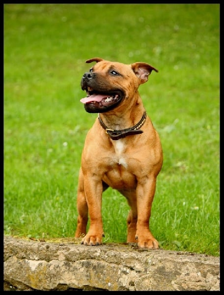 Publication : Evansstaff