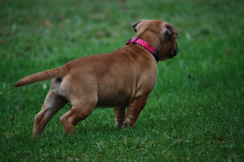 Publication : Evansstaff