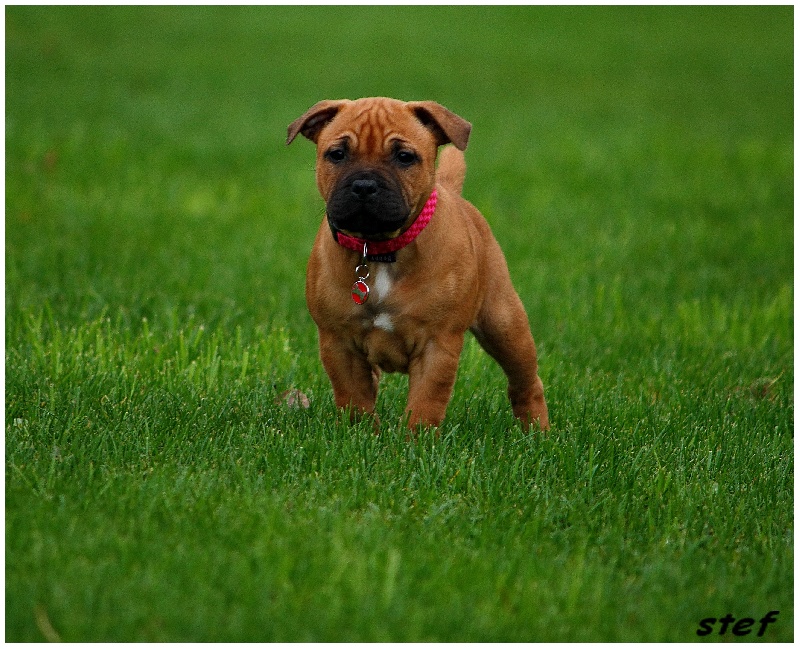 Publication : Evansstaff