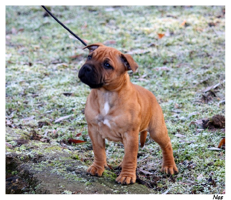 Publication : Evansstaff