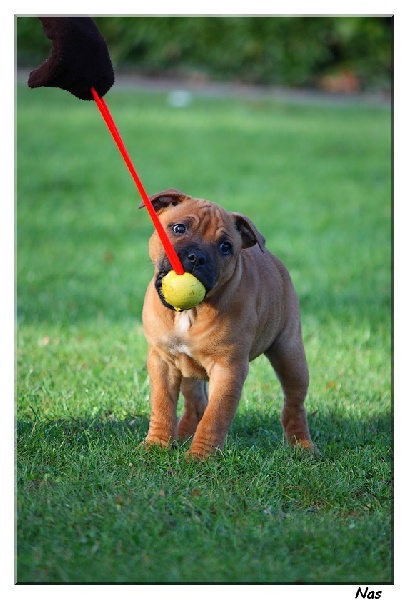 Publication : Evansstaff