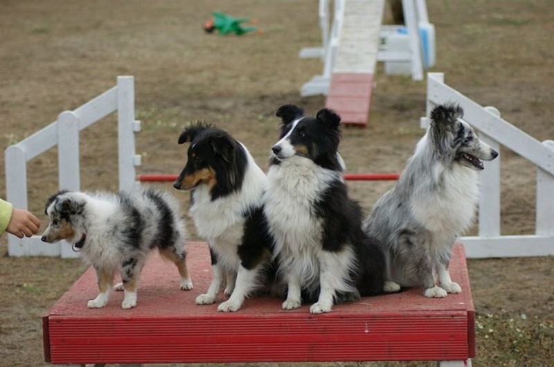 Galène blue des tendres caresses