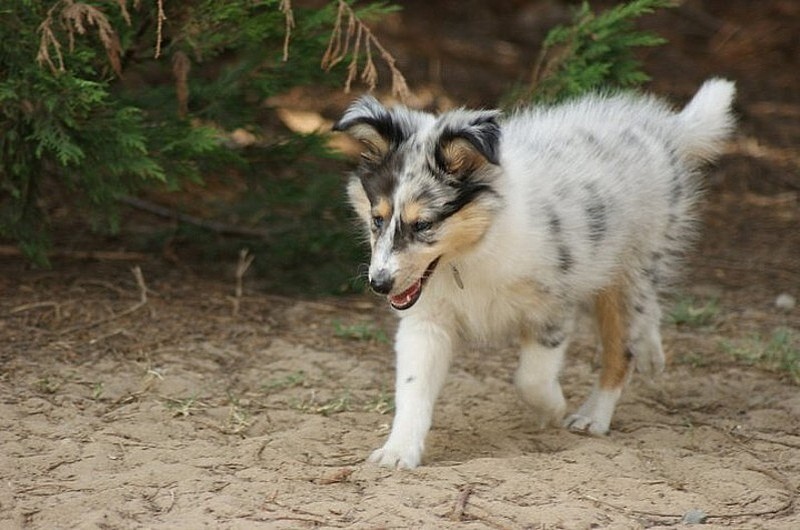Gwen blue des tendres caresses