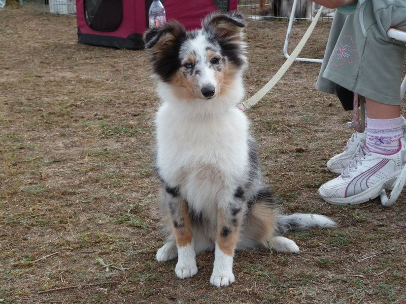 Galène blue des tendres caresses