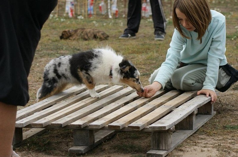 Galène blue des tendres caresses