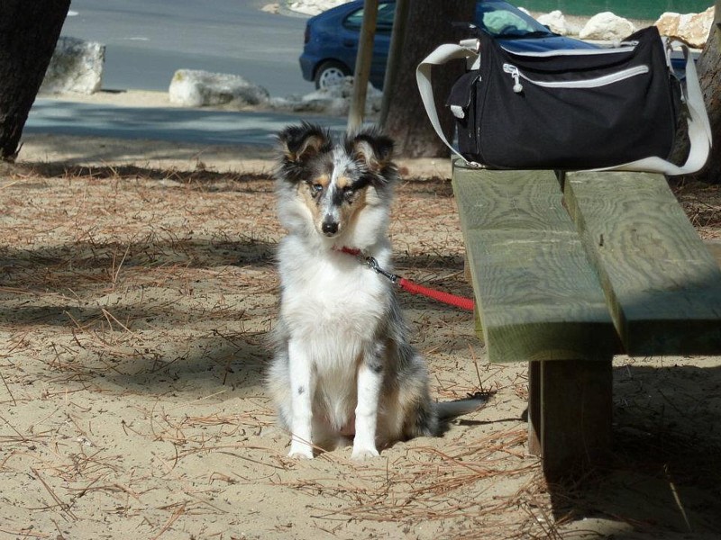 Gwen blue des tendres caresses