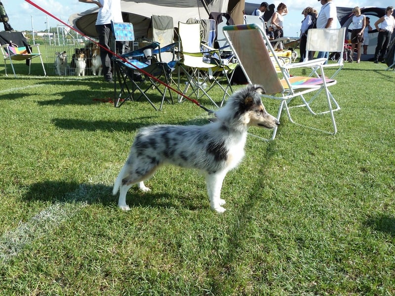 Gwen blue des tendres caresses