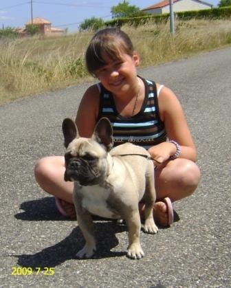 Delquine des Armoiries aux Têtes d'Or - Très Prormetteur (Classe Puppy)