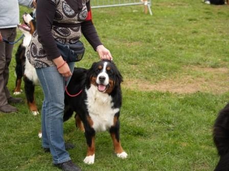 Enigma du domaine des neiges eternelles - 1er Très Bon