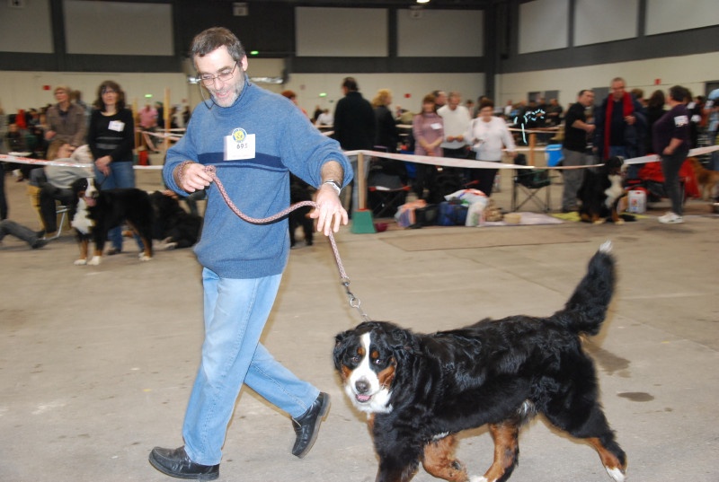 Dana du Domaine d'Ulane - EXCELLENT