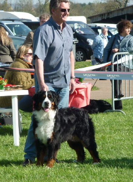 Dana du Domaine d'Ulane - EXCELLENT