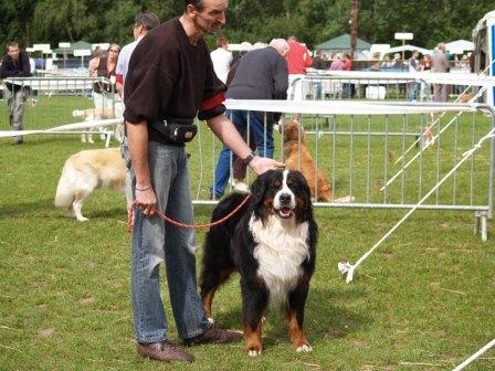 Cyrano de La Balade du Briantais - 1er EXCELLENT avec attribution du CACS