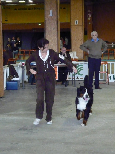 Dana du Domaine d'Ulane - Très Bon