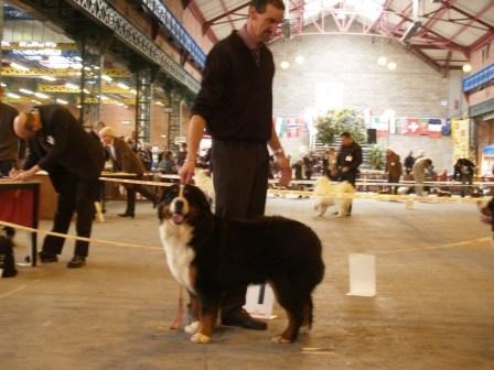 Enigma du domaine des neiges eternelles - 1er EXCELLENT