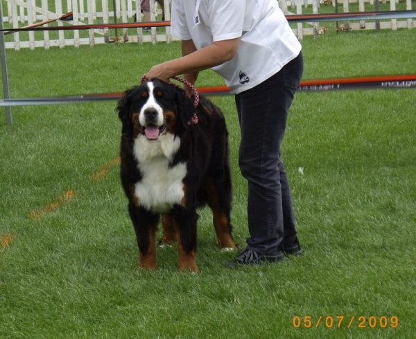 Dana du Domaine d'Ulane - 2ème EXCELLENT