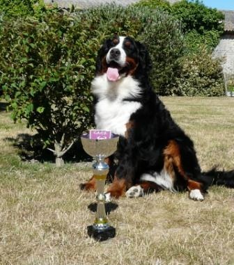 Dana du Domaine d'Ulane - 1er EXCELLENT avec attribution du CACS