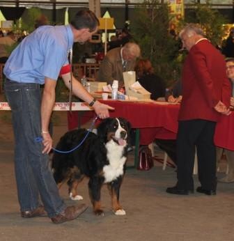 Dana du Domaine d'Ulane - 4e EXCELLENT