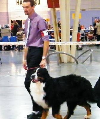 Cyrano de La Balade du Briantais - 4e EXCELLENT