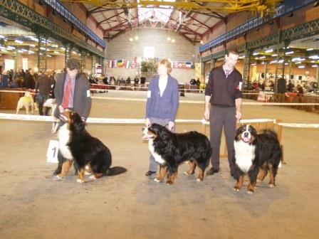 Cyrano de La Balade du Briantais - 3ème EXCELLENT