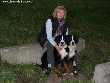 Cyrano de La Balade du Briantais - TRES PROMETTEUR