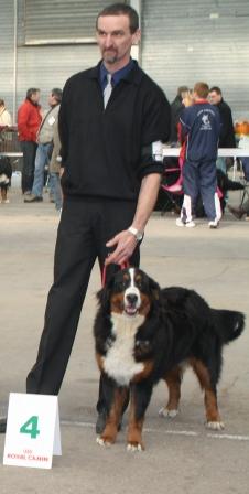 Henya du Versant du Midi - 4ème EXCELLENT