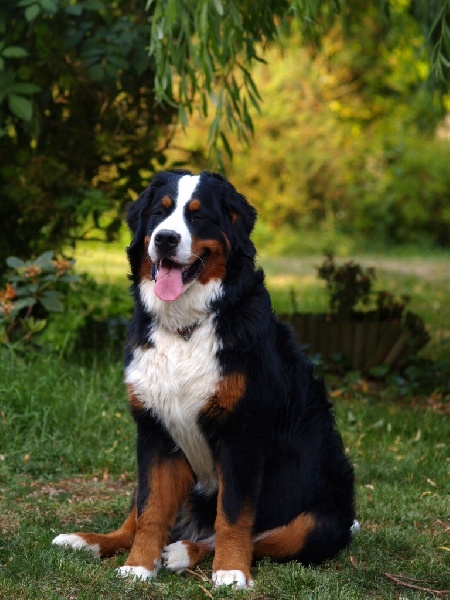 Fifty-fifty funatic du hameau des baronnies