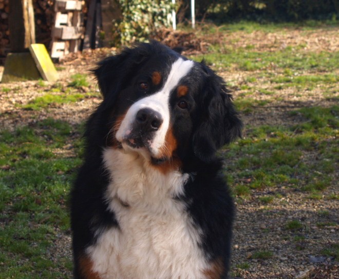 Fifty-fifty funatic du hameau des baronnies