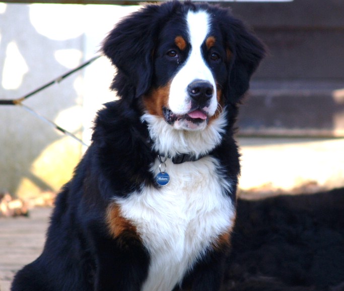 Fifty-fifty funatic du hameau des baronnies