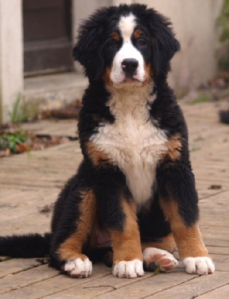 Fifty-fifty funatic du hameau des baronnies