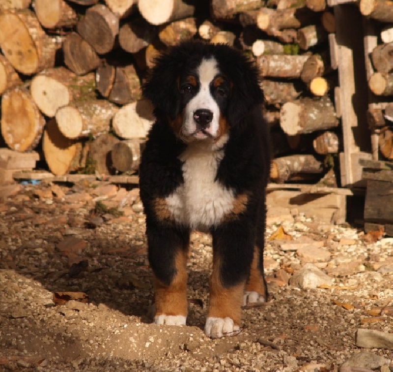 Fifty-fifty funatic du hameau des baronnies