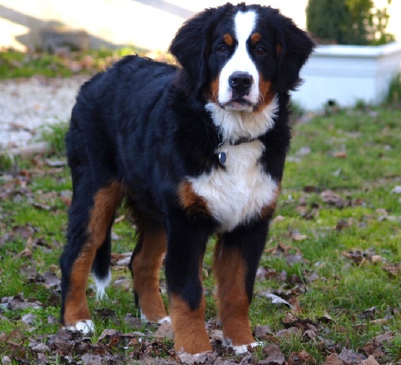 Fifty-fifty funatic du hameau des baronnies