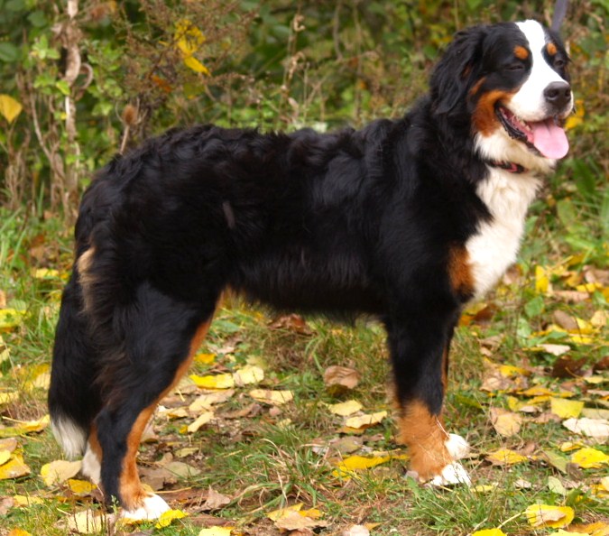 Fifty-fifty funatic du hameau des baronnies