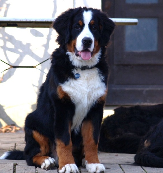 Fifty-fifty funatic du hameau des baronnies